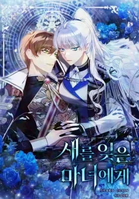 To the Witch Who Forgot the Bird